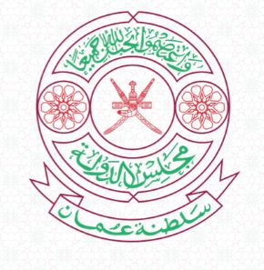 محطات إخبارية